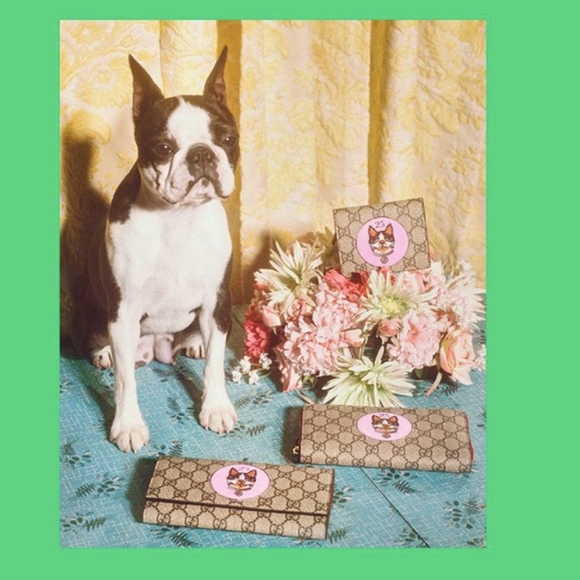 Boston Terrier watch LIMITED EDITION COLLECTOR main image 5